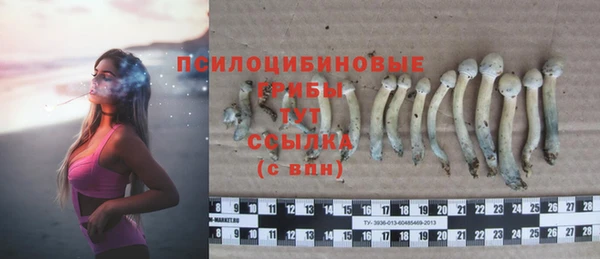 мет Лабытнанги