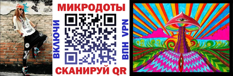 Купить где  Тосно  Псилоцибиновые грибы Cubensis 