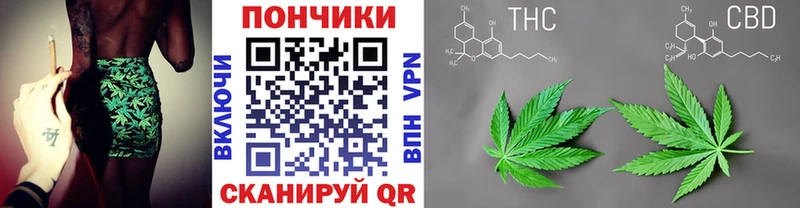 Бошки марихуана марихуана Купить где Тосно